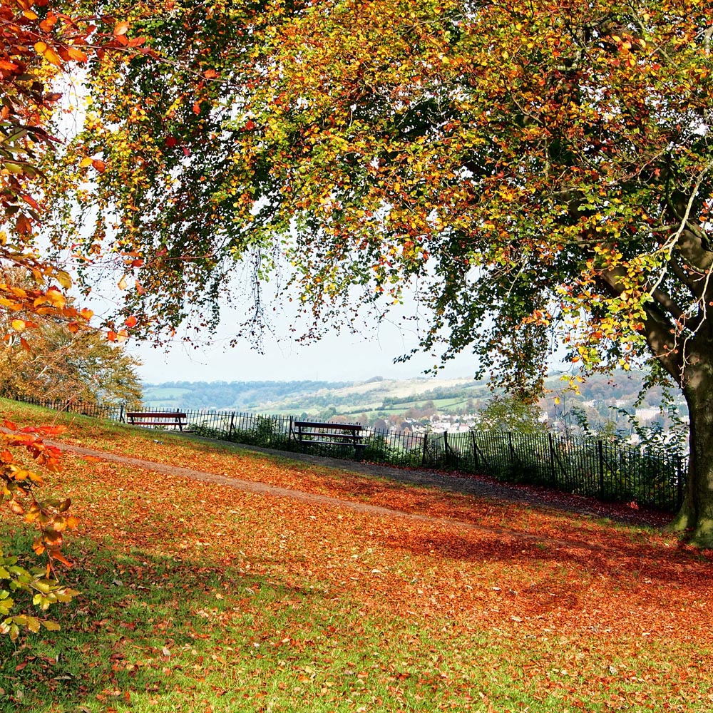 Alexandra Park in Bath